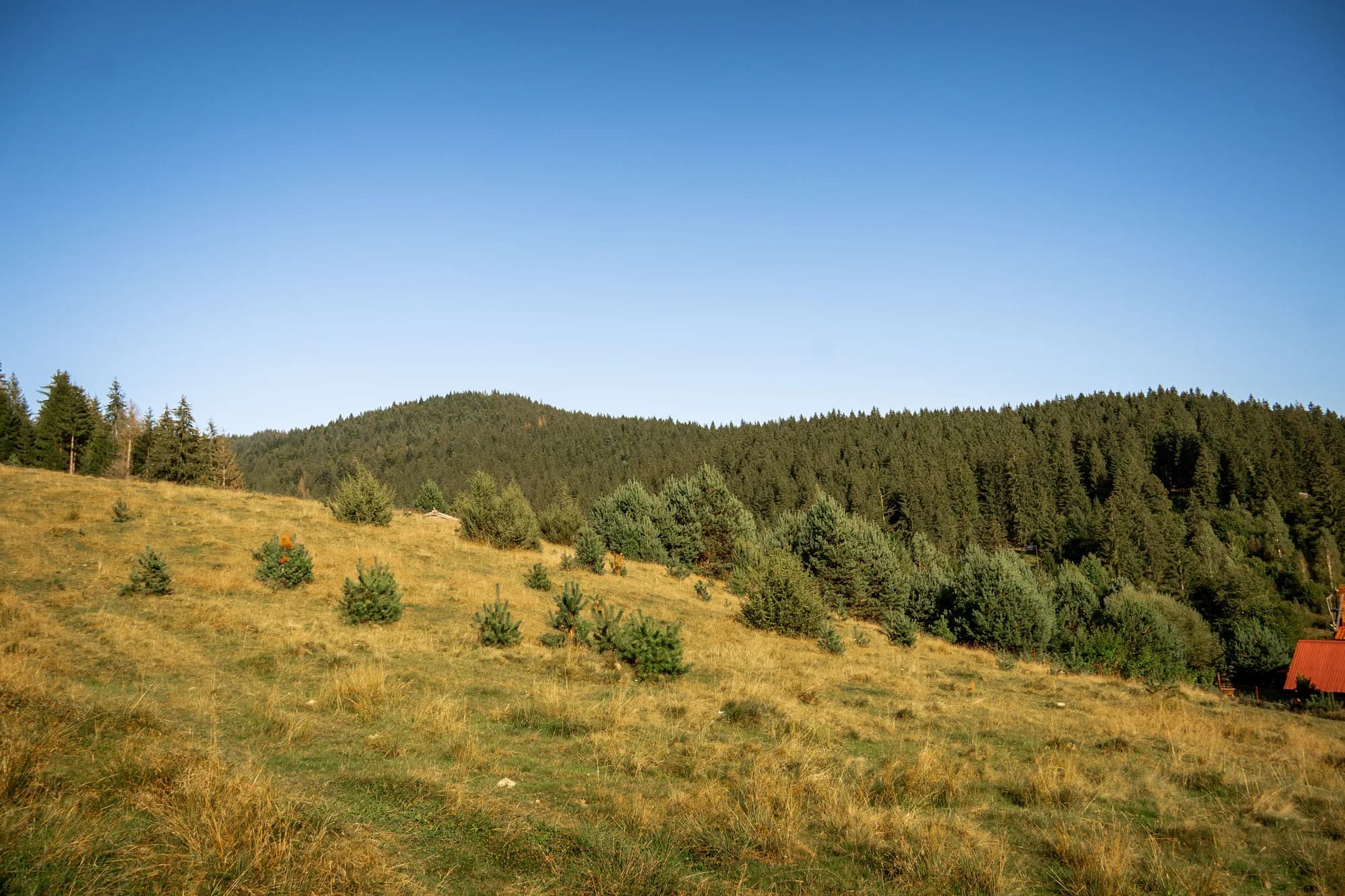 TuliVilla - Cadru idilic în mijlocul naturii
