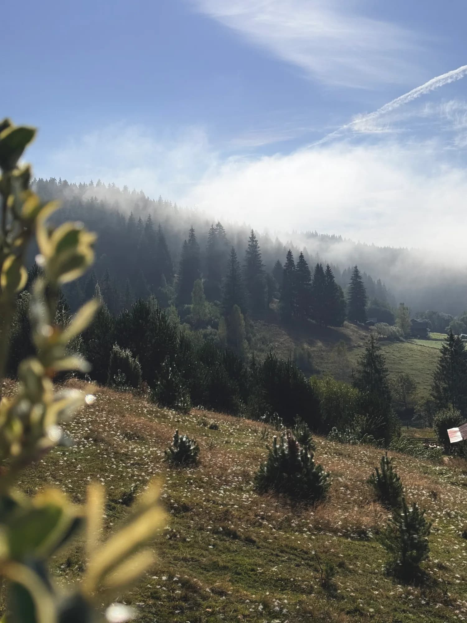 Apus cald peste văile din Bucovina